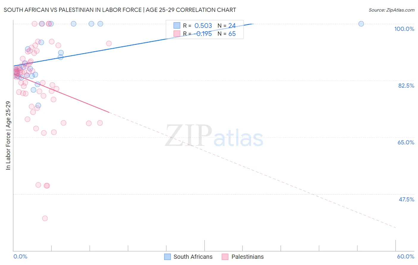 South African vs Palestinian In Labor Force | Age 25-29
