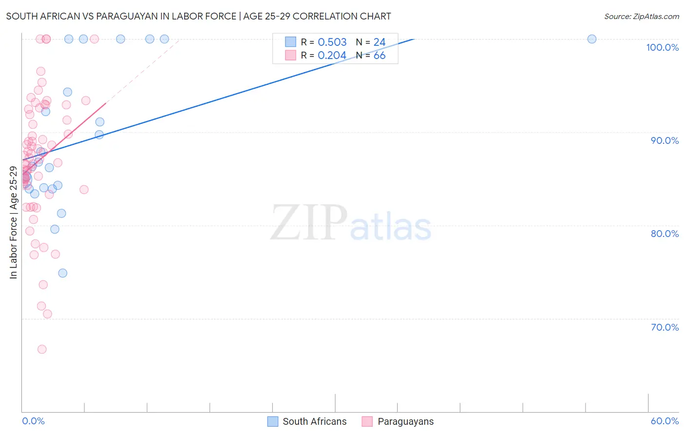 South African vs Paraguayan In Labor Force | Age 25-29