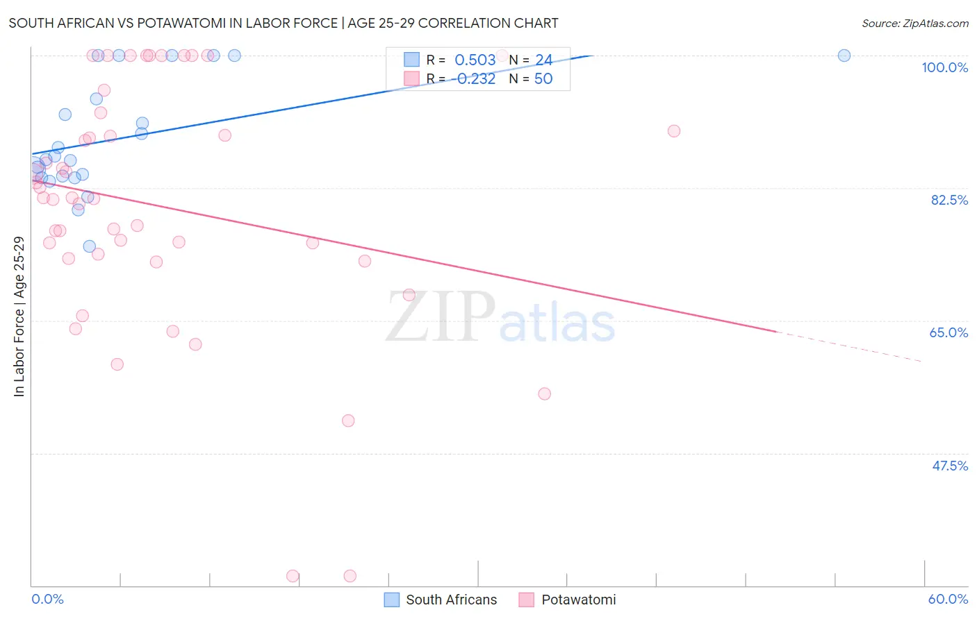 South African vs Potawatomi In Labor Force | Age 25-29