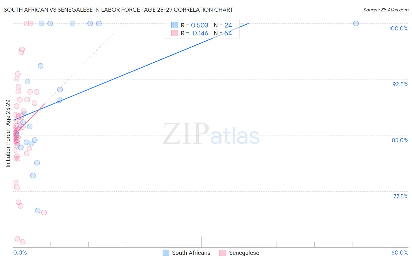 South African vs Senegalese In Labor Force | Age 25-29