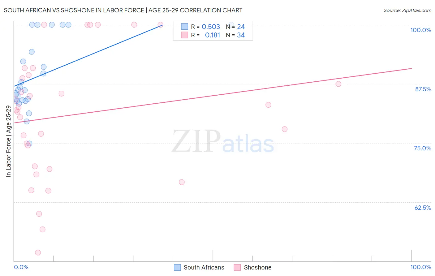 South African vs Shoshone In Labor Force | Age 25-29