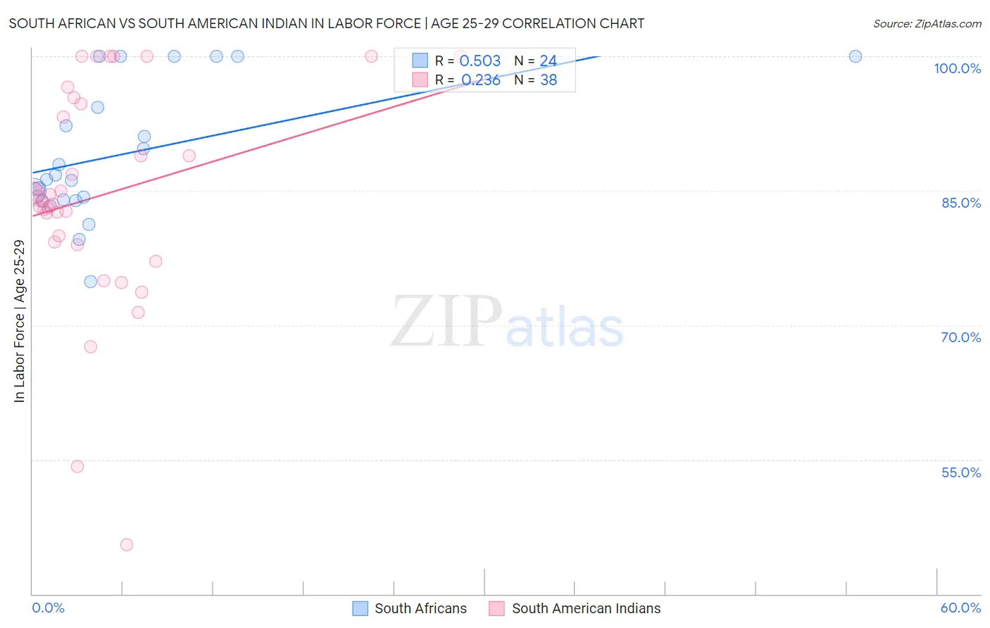 South African vs South American Indian In Labor Force | Age 25-29