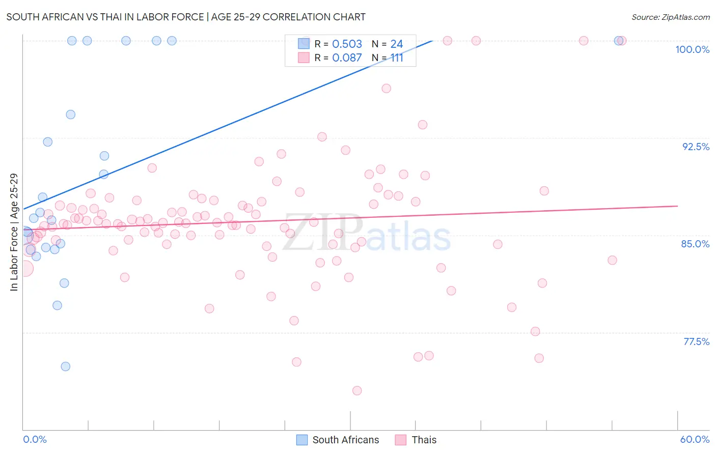 South African vs Thai In Labor Force | Age 25-29