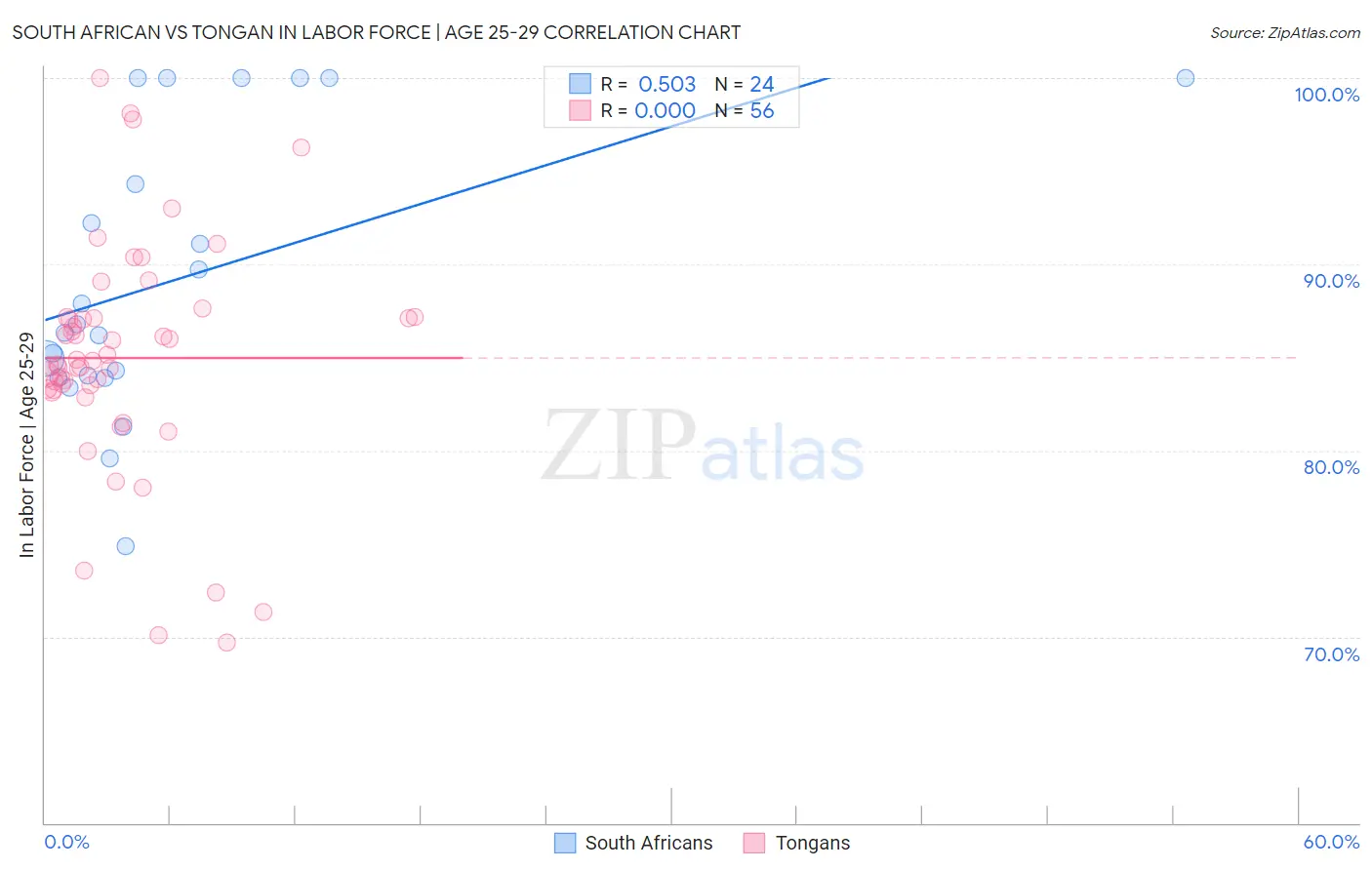 South African vs Tongan In Labor Force | Age 25-29