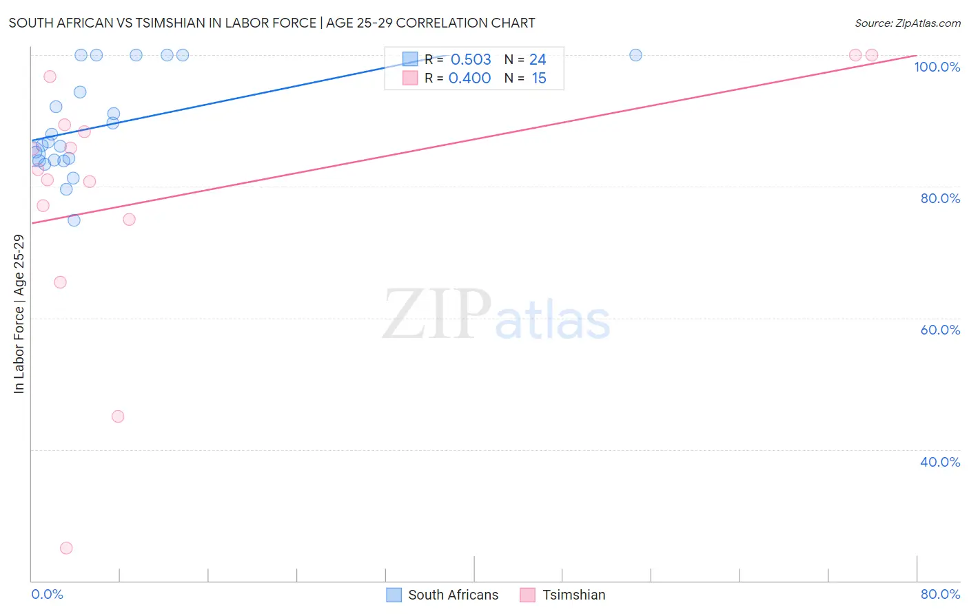 South African vs Tsimshian In Labor Force | Age 25-29