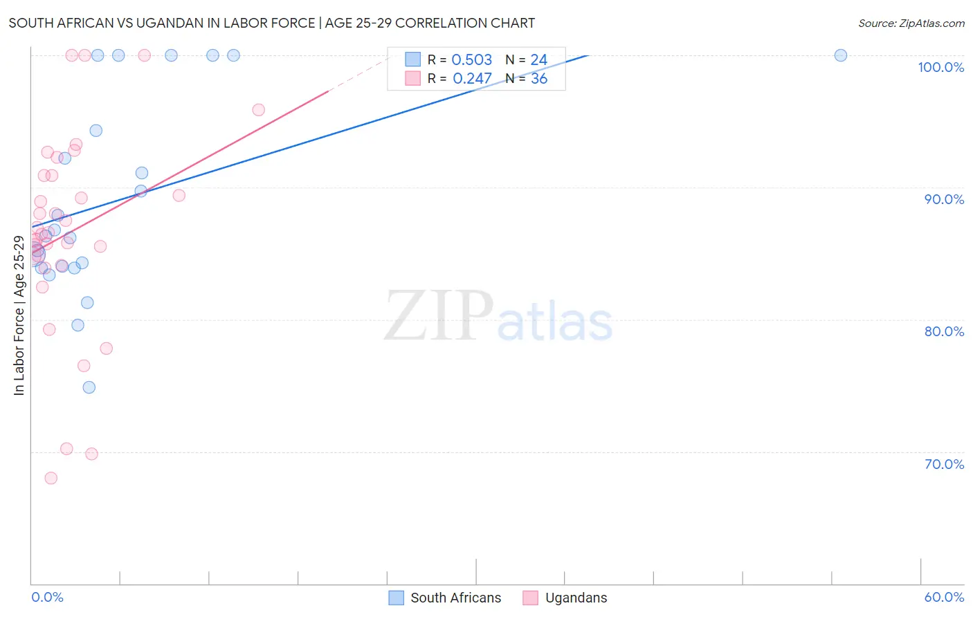 South African vs Ugandan In Labor Force | Age 25-29