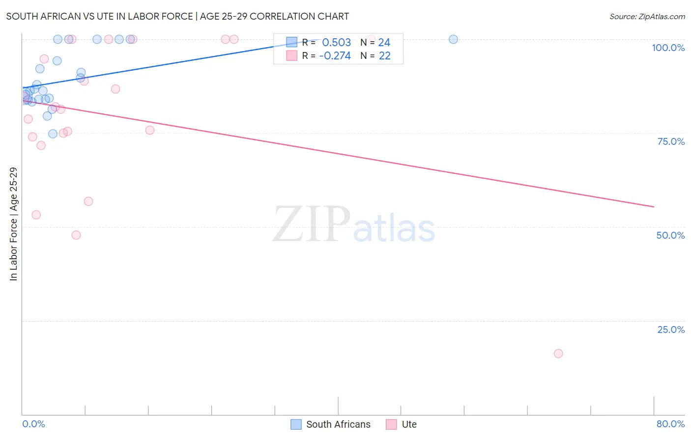 South African vs Ute In Labor Force | Age 25-29