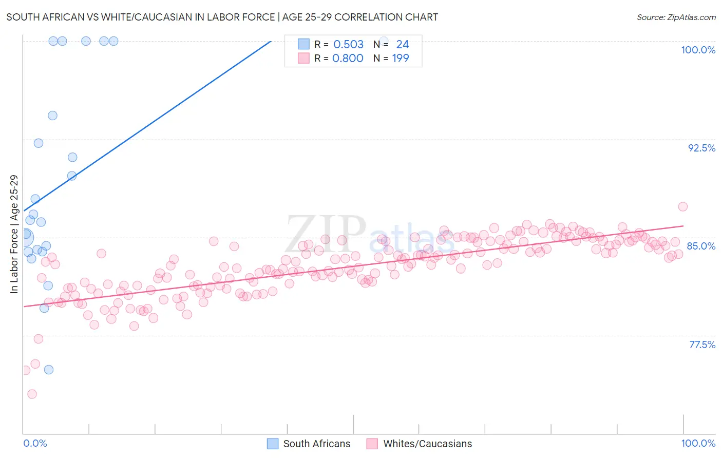 South African vs White/Caucasian In Labor Force | Age 25-29