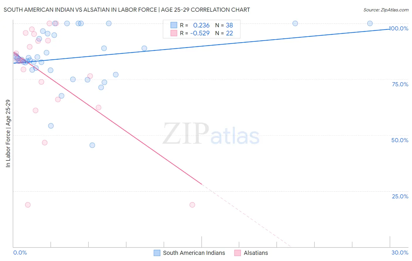 South American Indian vs Alsatian In Labor Force | Age 25-29