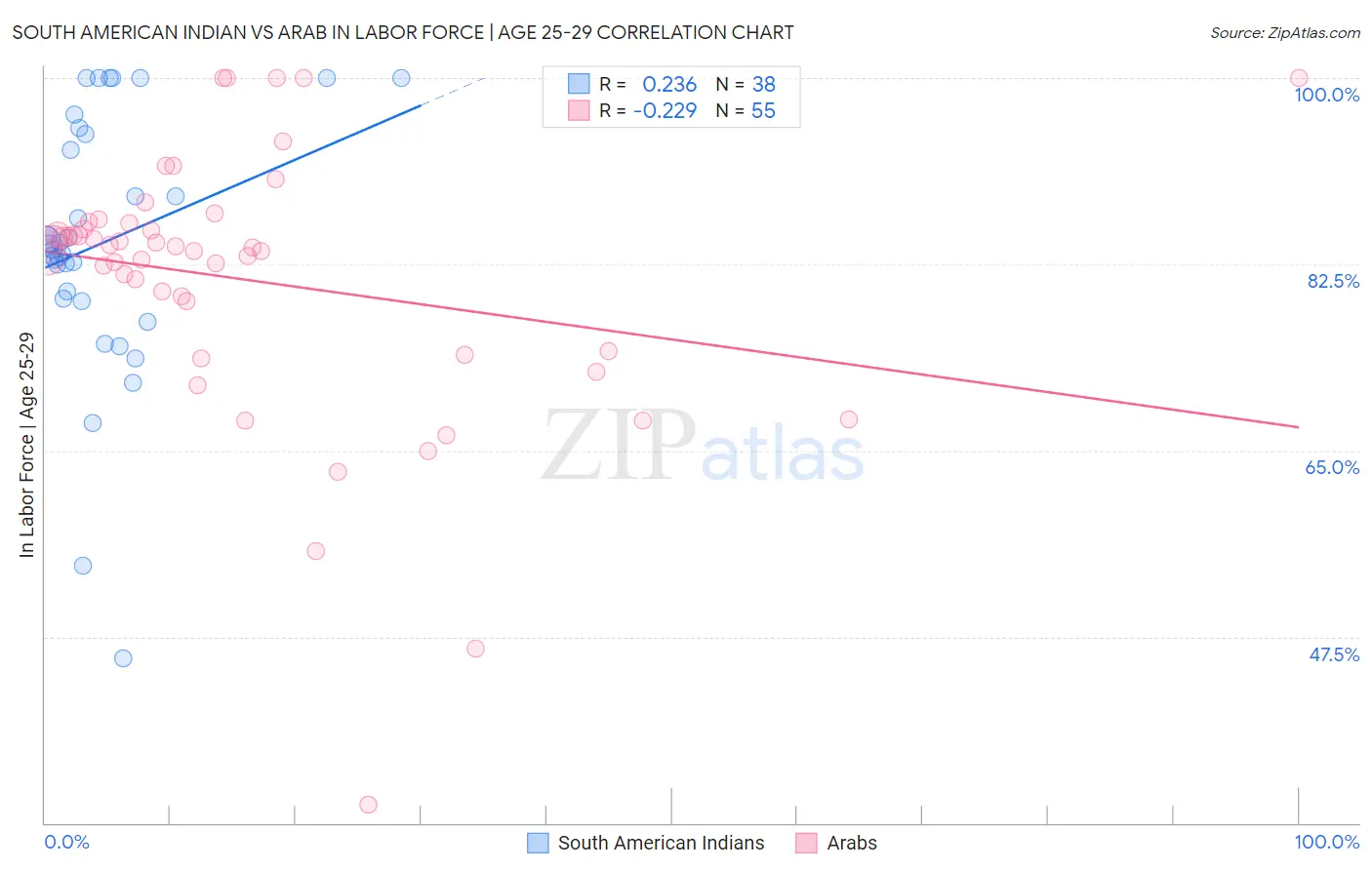 South American Indian vs Arab In Labor Force | Age 25-29