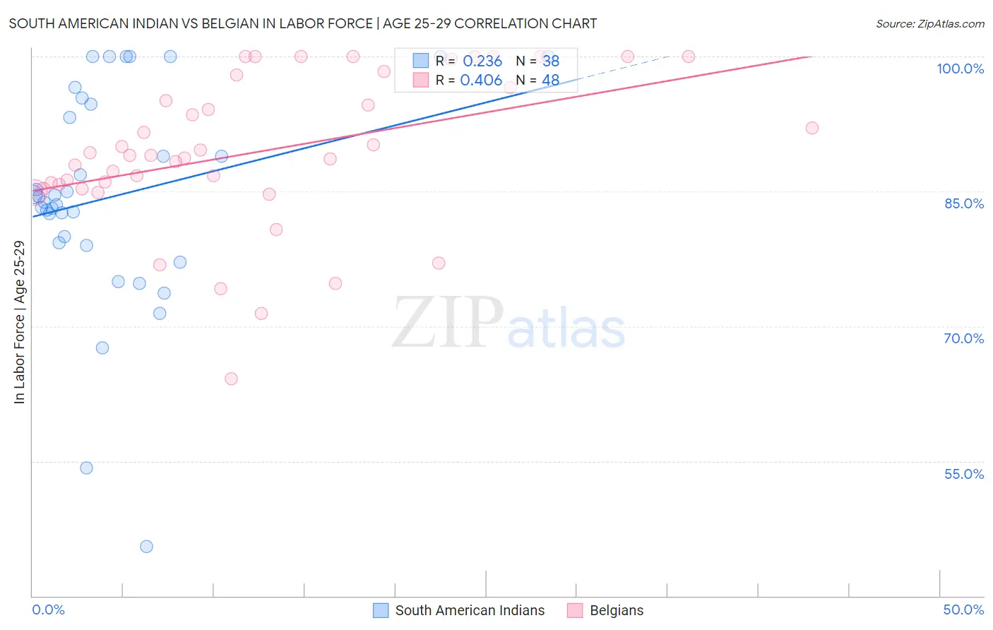 South American Indian vs Belgian In Labor Force | Age 25-29