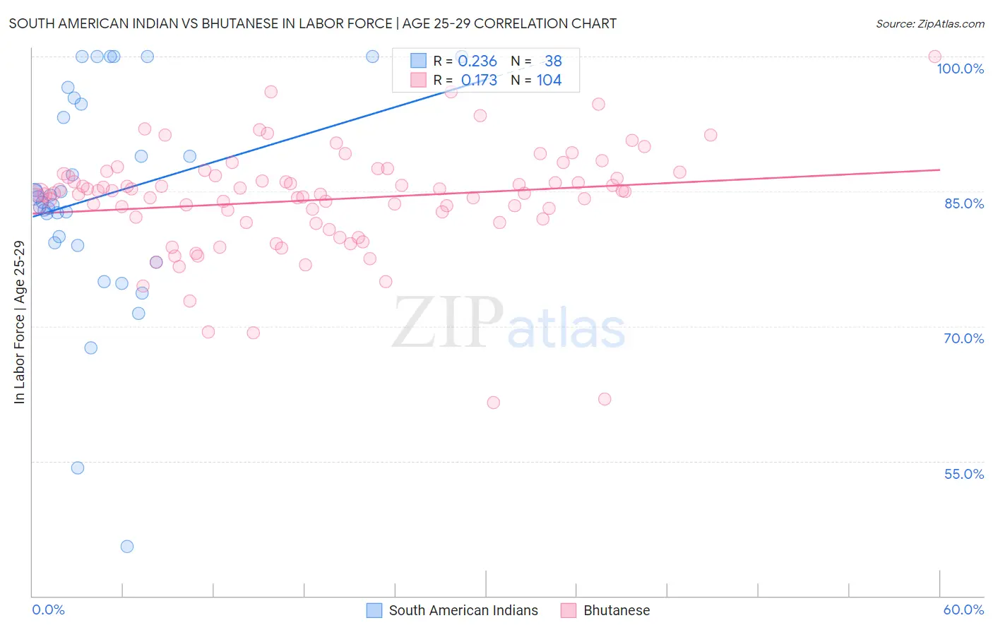 South American Indian vs Bhutanese In Labor Force | Age 25-29