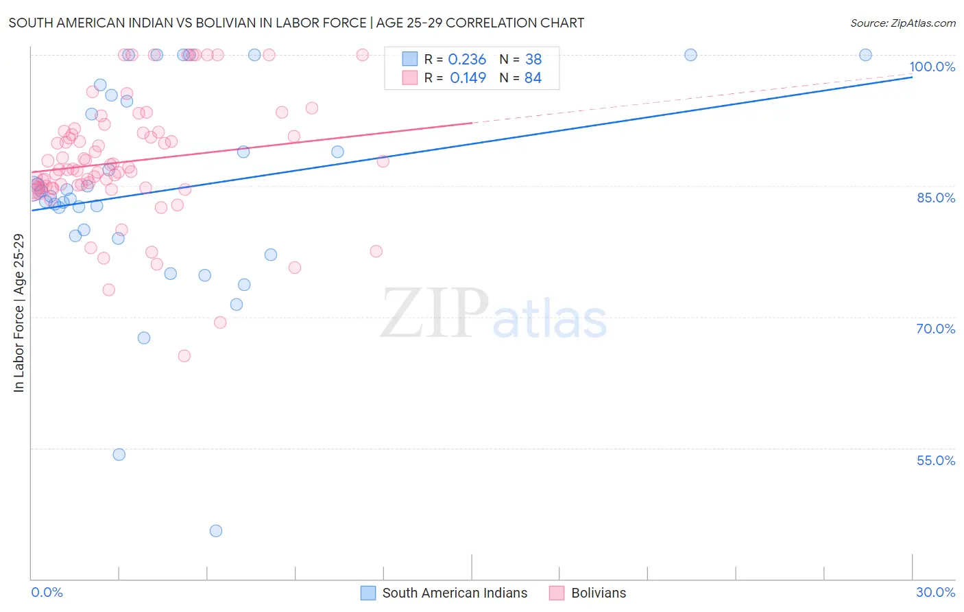 South American Indian vs Bolivian In Labor Force | Age 25-29