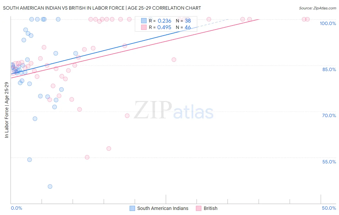 South American Indian vs British In Labor Force | Age 25-29