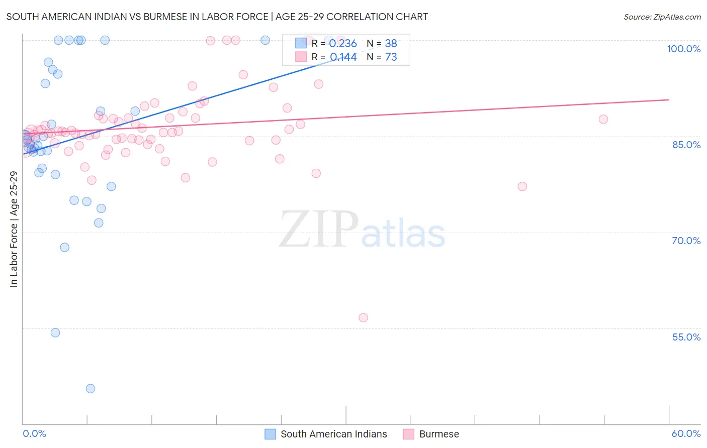 South American Indian vs Burmese In Labor Force | Age 25-29