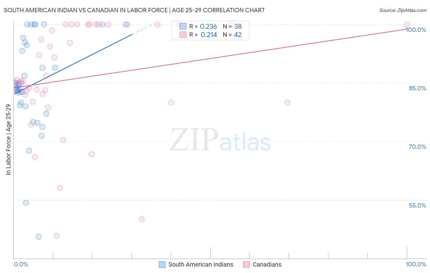 South American Indian vs Canadian In Labor Force | Age 25-29