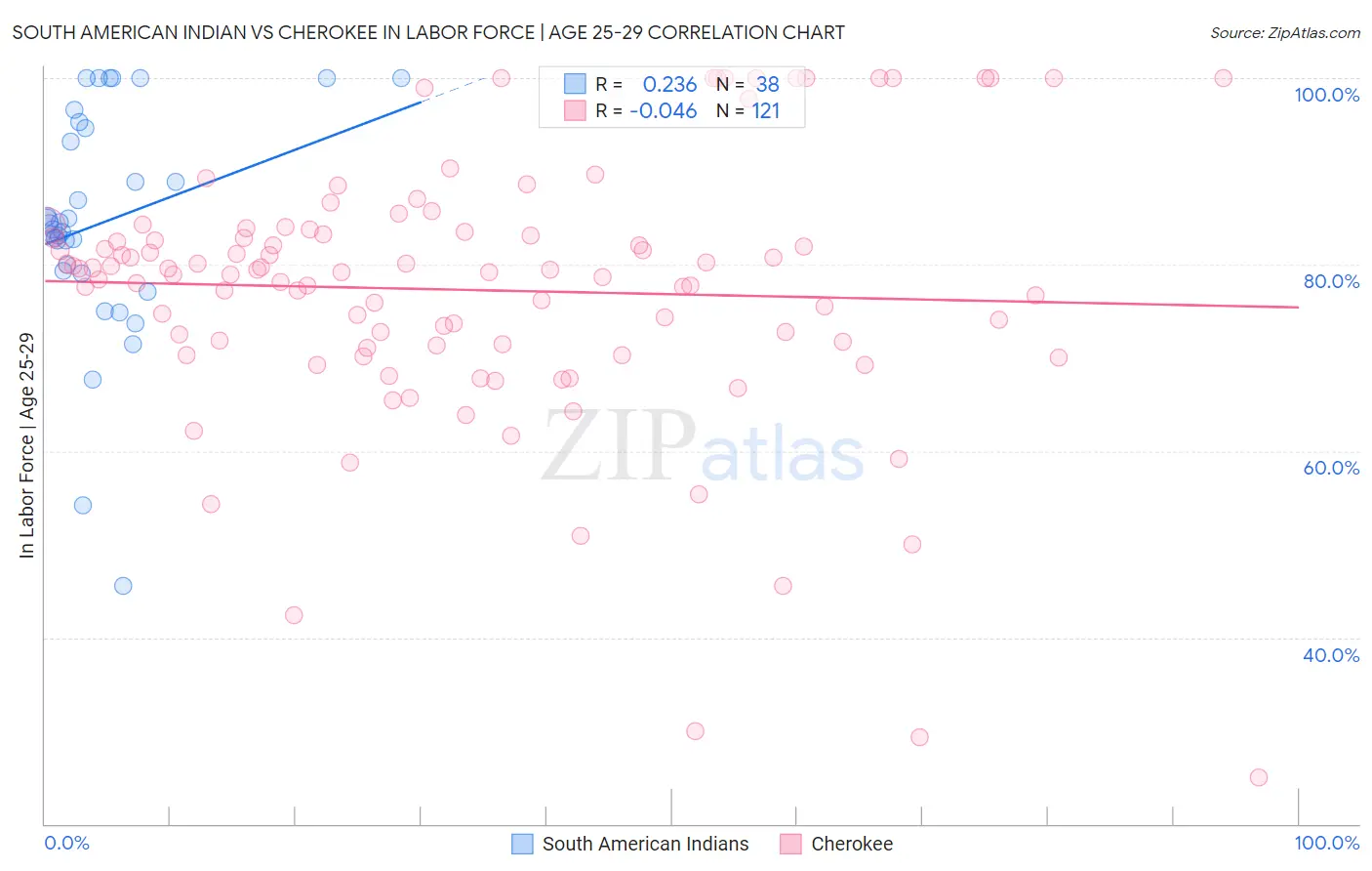 South American Indian vs Cherokee In Labor Force | Age 25-29