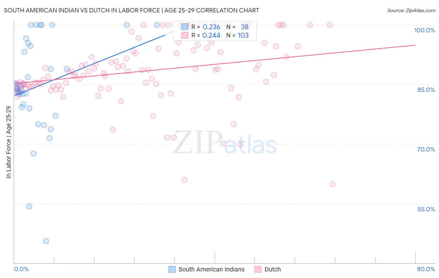 South American Indian vs Dutch In Labor Force | Age 25-29