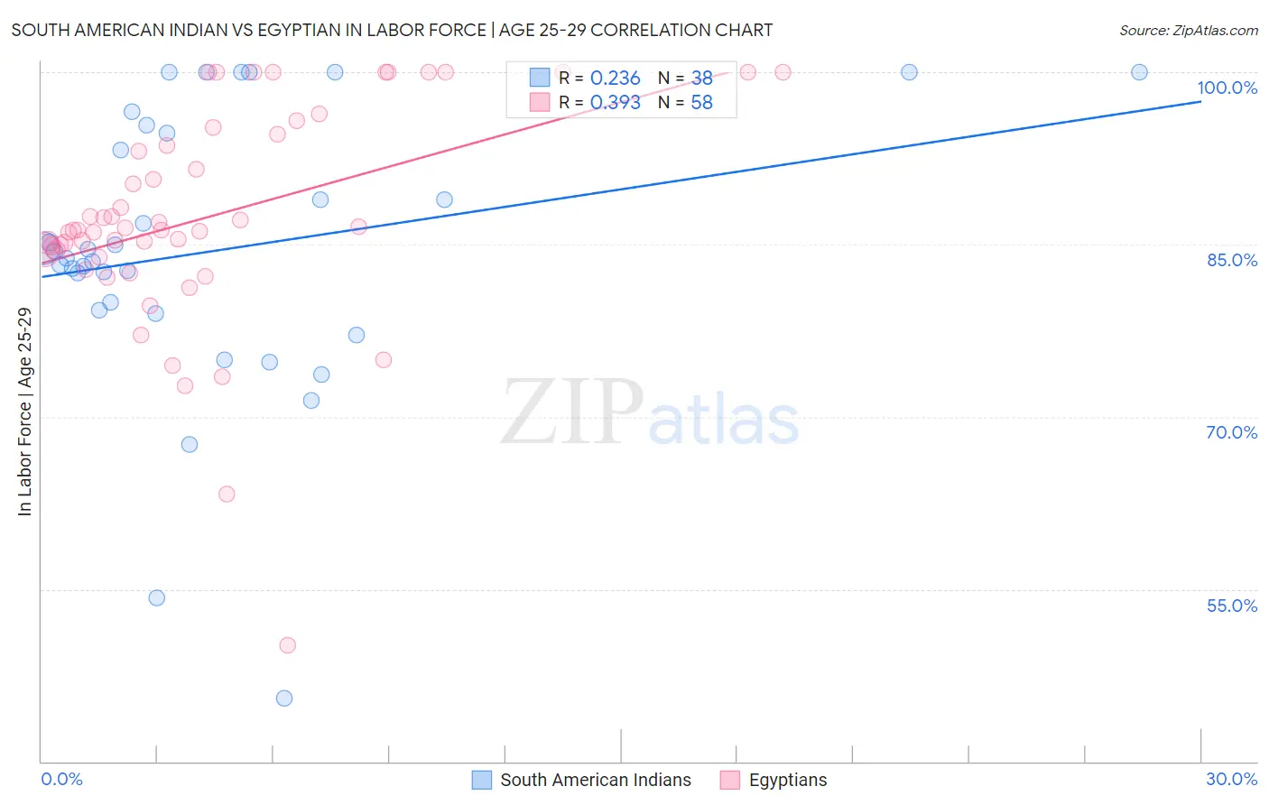 South American Indian vs Egyptian In Labor Force | Age 25-29