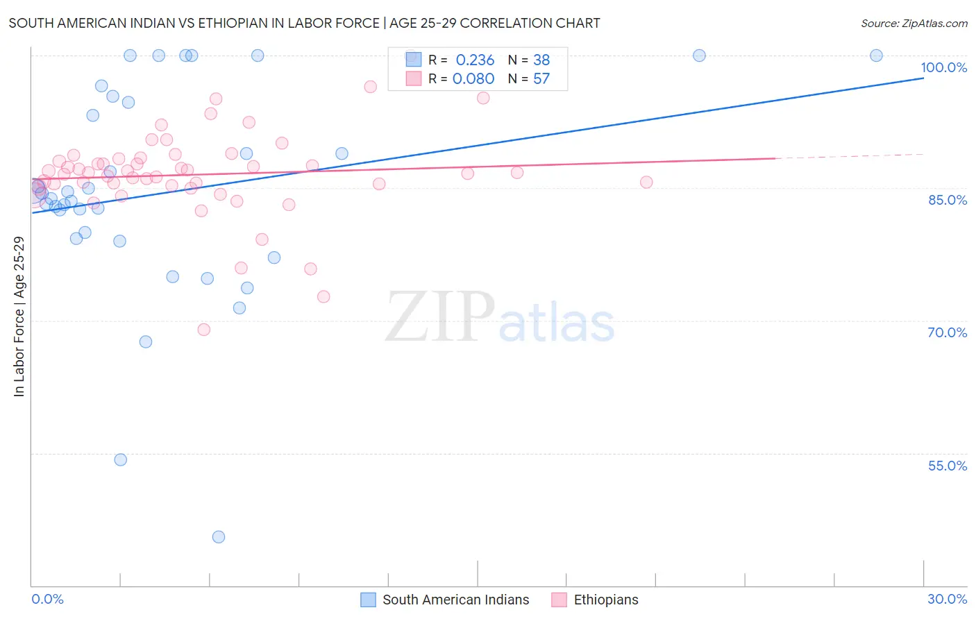 South American Indian vs Ethiopian In Labor Force | Age 25-29