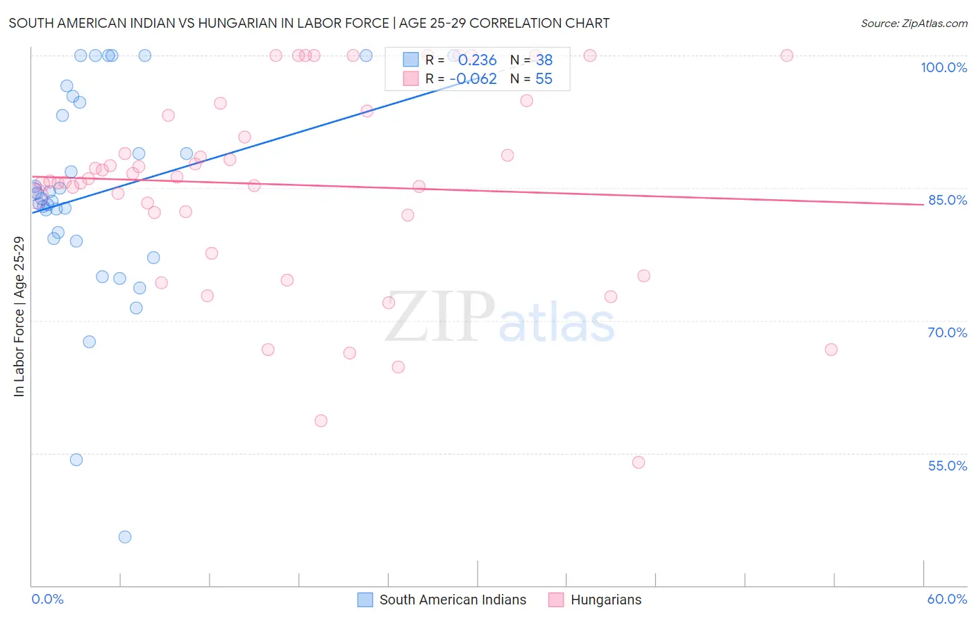 South American Indian vs Hungarian In Labor Force | Age 25-29