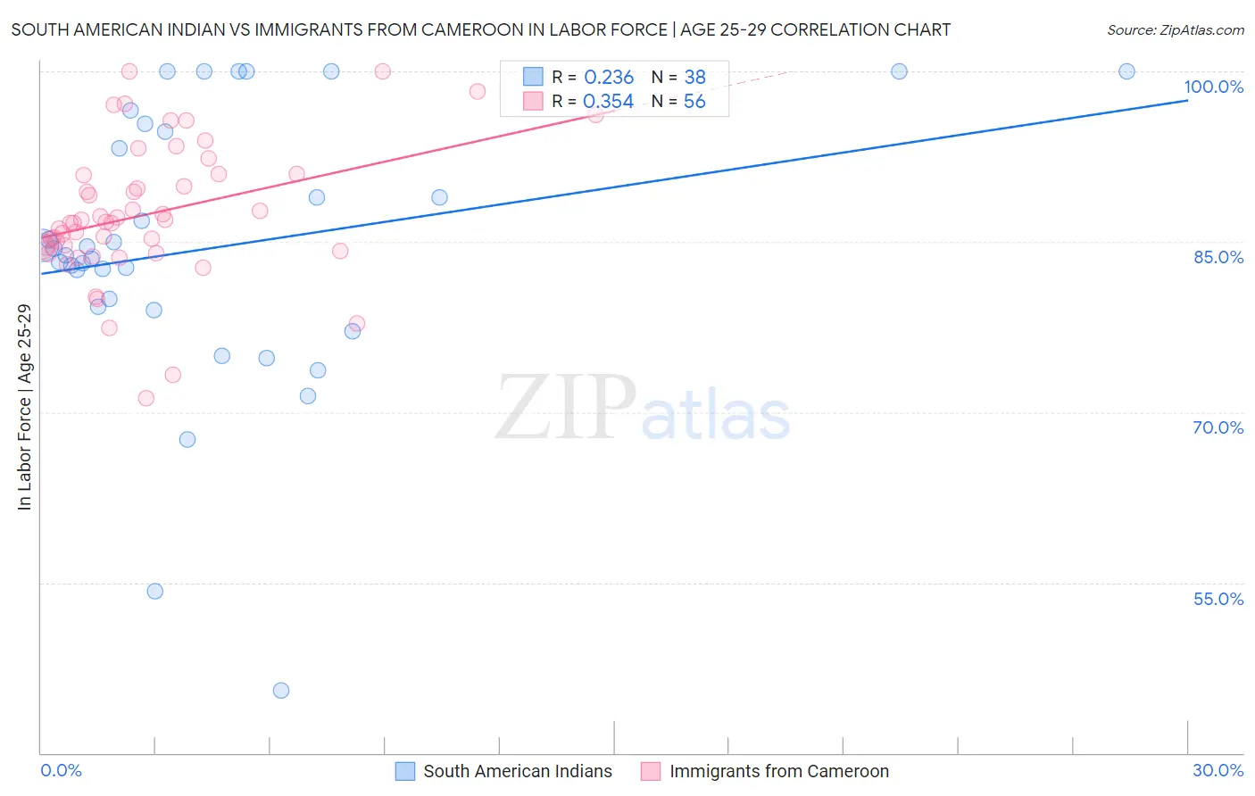 South American Indian vs Immigrants from Cameroon In Labor Force | Age 25-29