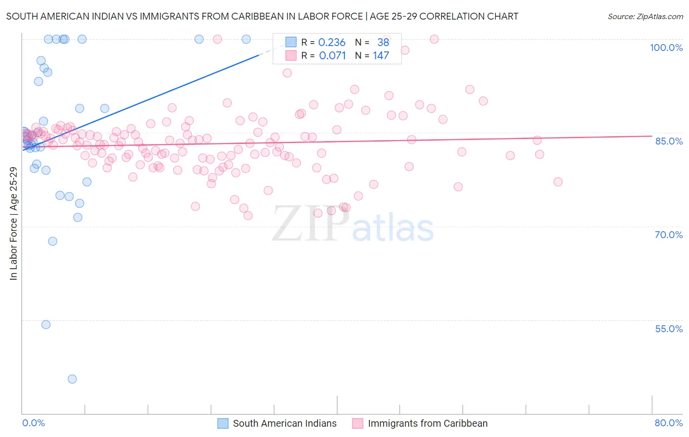 South American Indian vs Immigrants from Caribbean In Labor Force | Age 25-29
