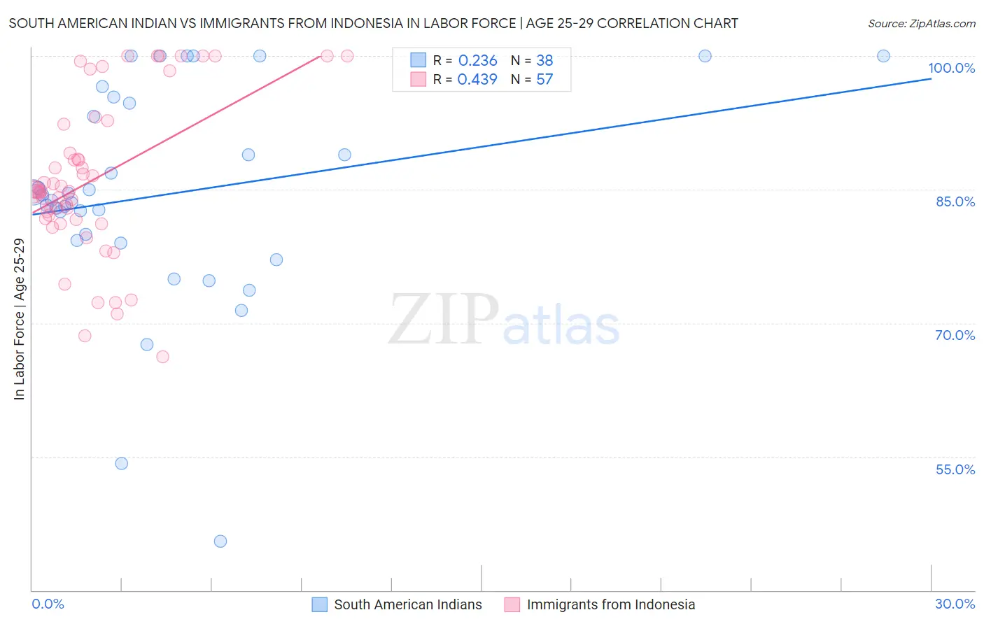 South American Indian vs Immigrants from Indonesia In Labor Force | Age 25-29