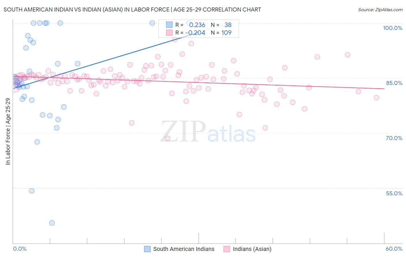 South American Indian vs Indian (Asian) In Labor Force | Age 25-29