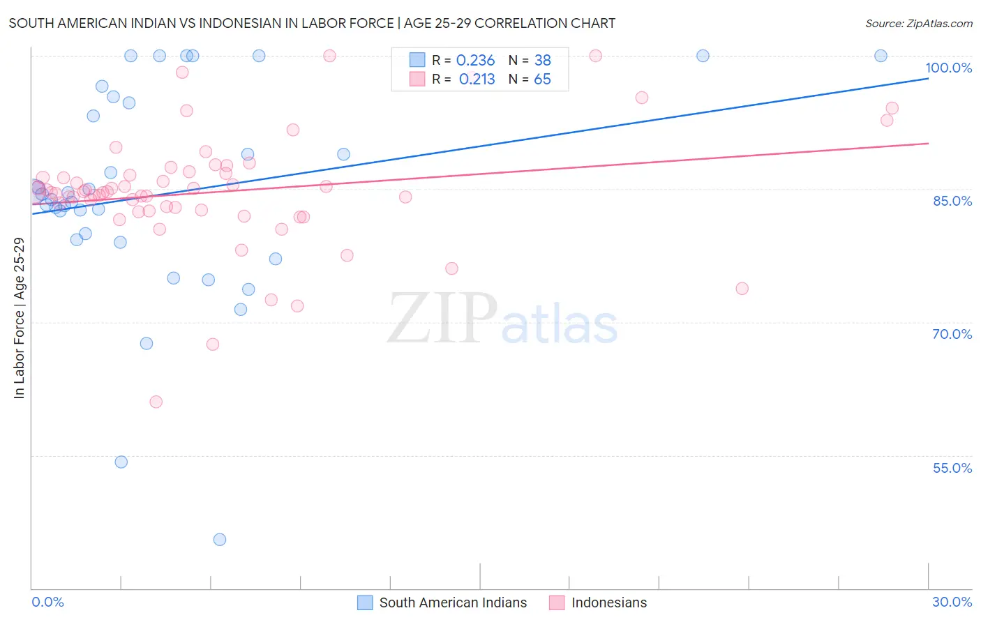 South American Indian vs Indonesian In Labor Force | Age 25-29