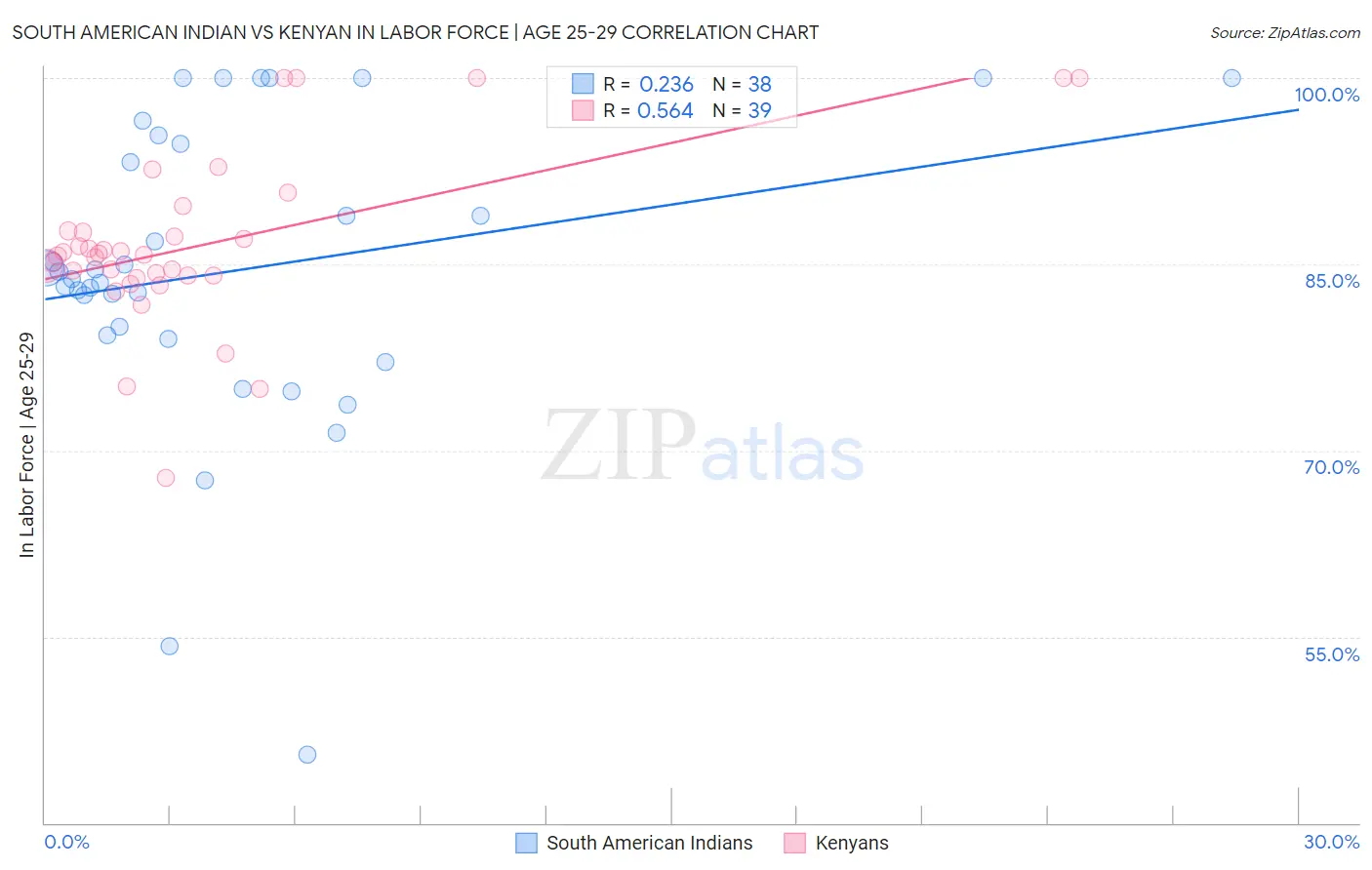 South American Indian vs Kenyan In Labor Force | Age 25-29