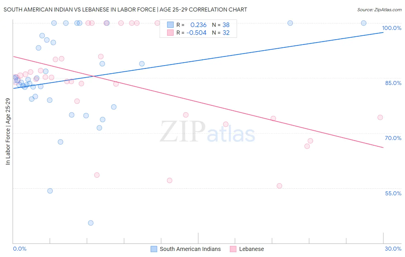 South American Indian vs Lebanese In Labor Force | Age 25-29