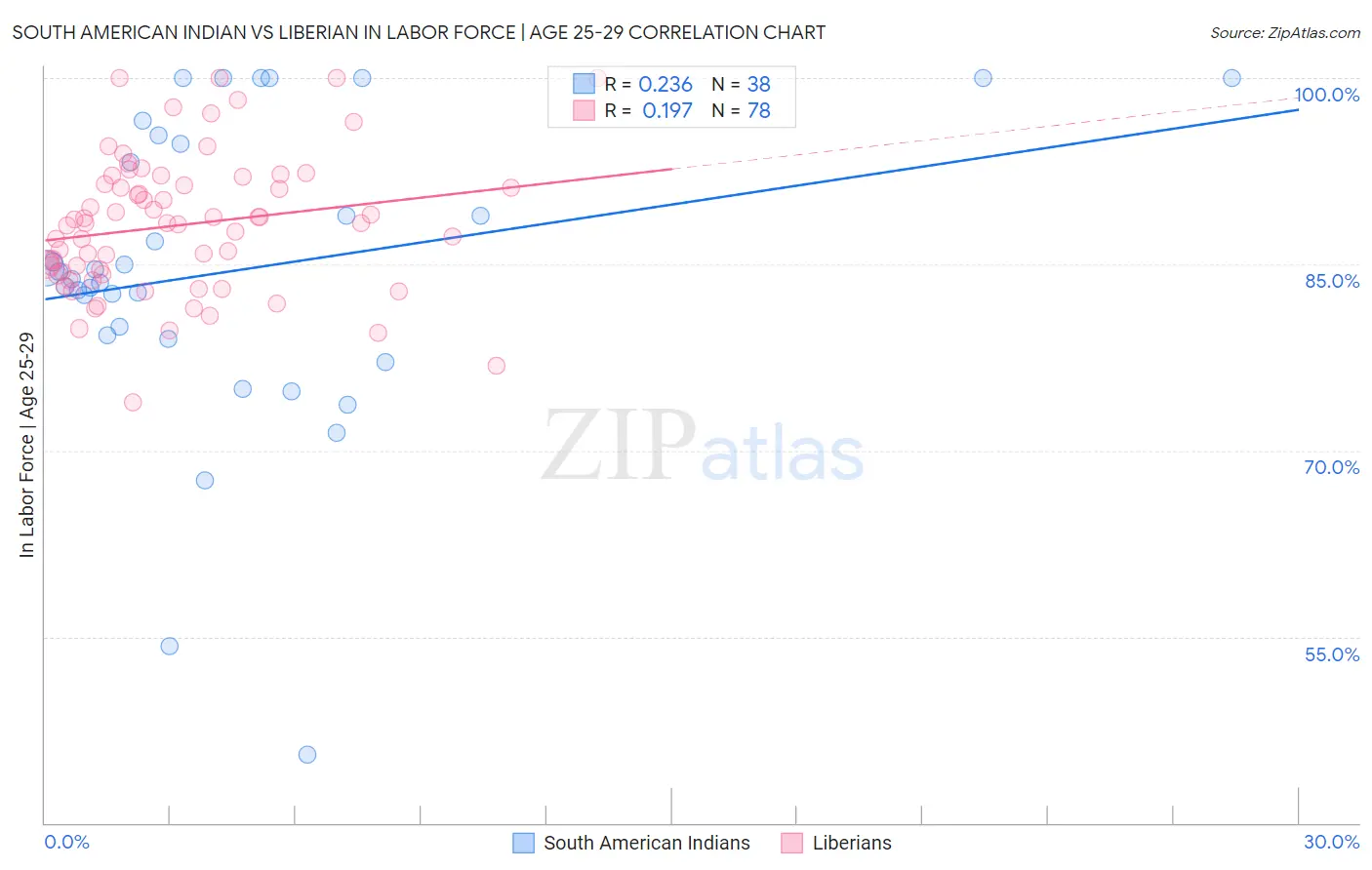 South American Indian vs Liberian In Labor Force | Age 25-29