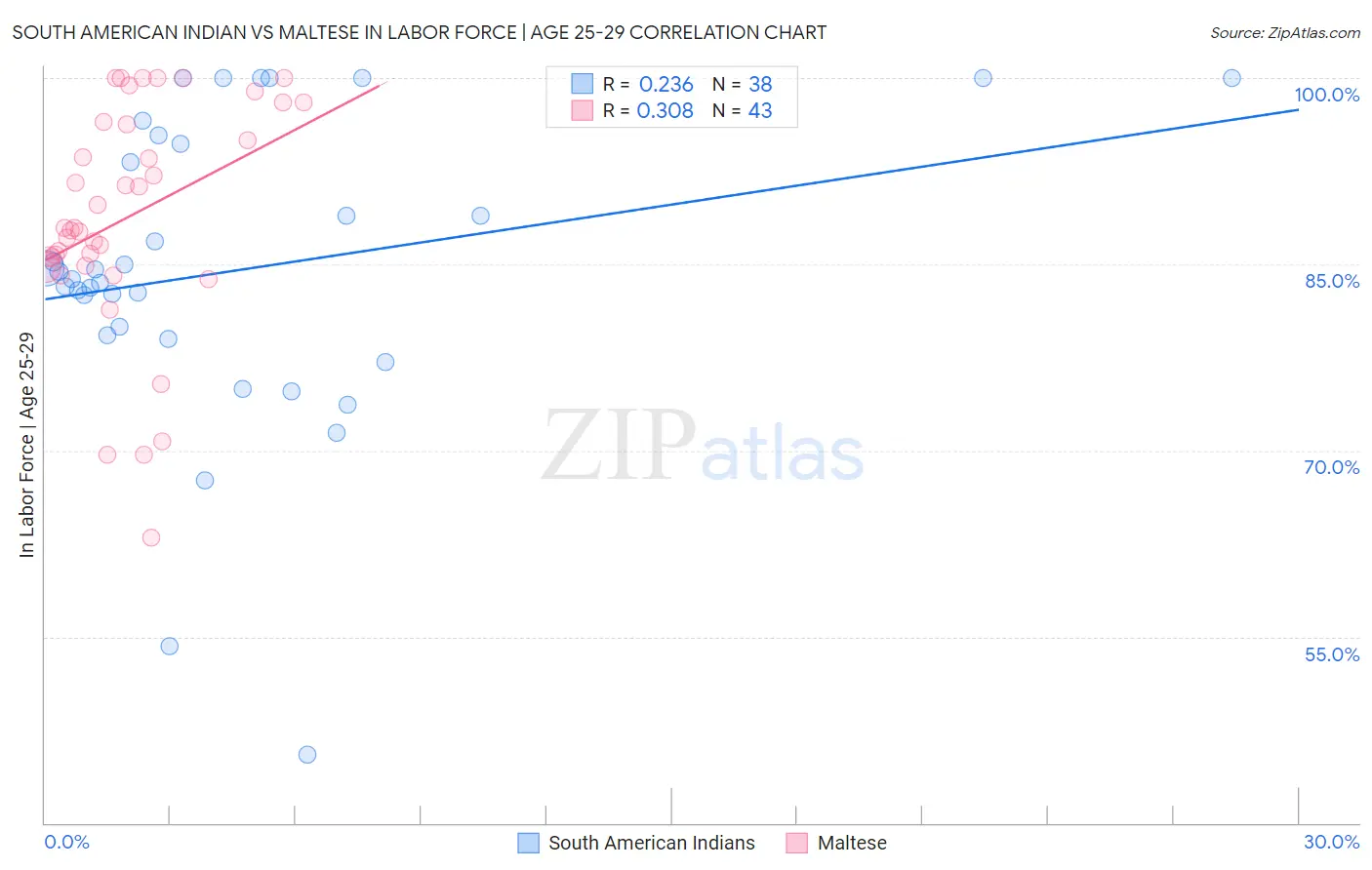 South American Indian vs Maltese In Labor Force | Age 25-29