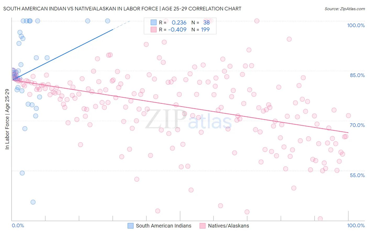 South American Indian vs Native/Alaskan In Labor Force | Age 25-29