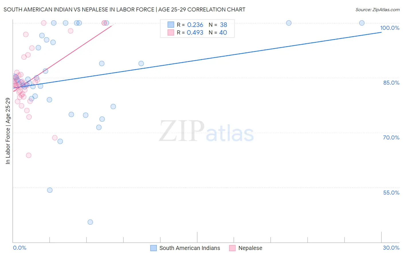 South American Indian vs Nepalese In Labor Force | Age 25-29