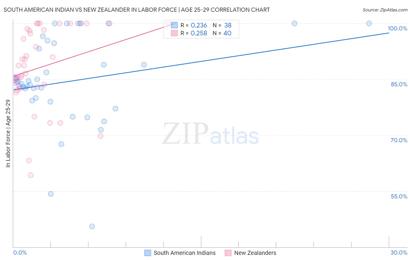 South American Indian vs New Zealander In Labor Force | Age 25-29