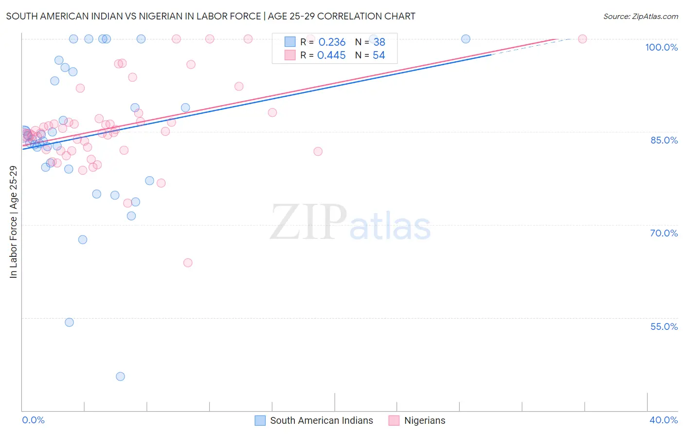South American Indian vs Nigerian In Labor Force | Age 25-29