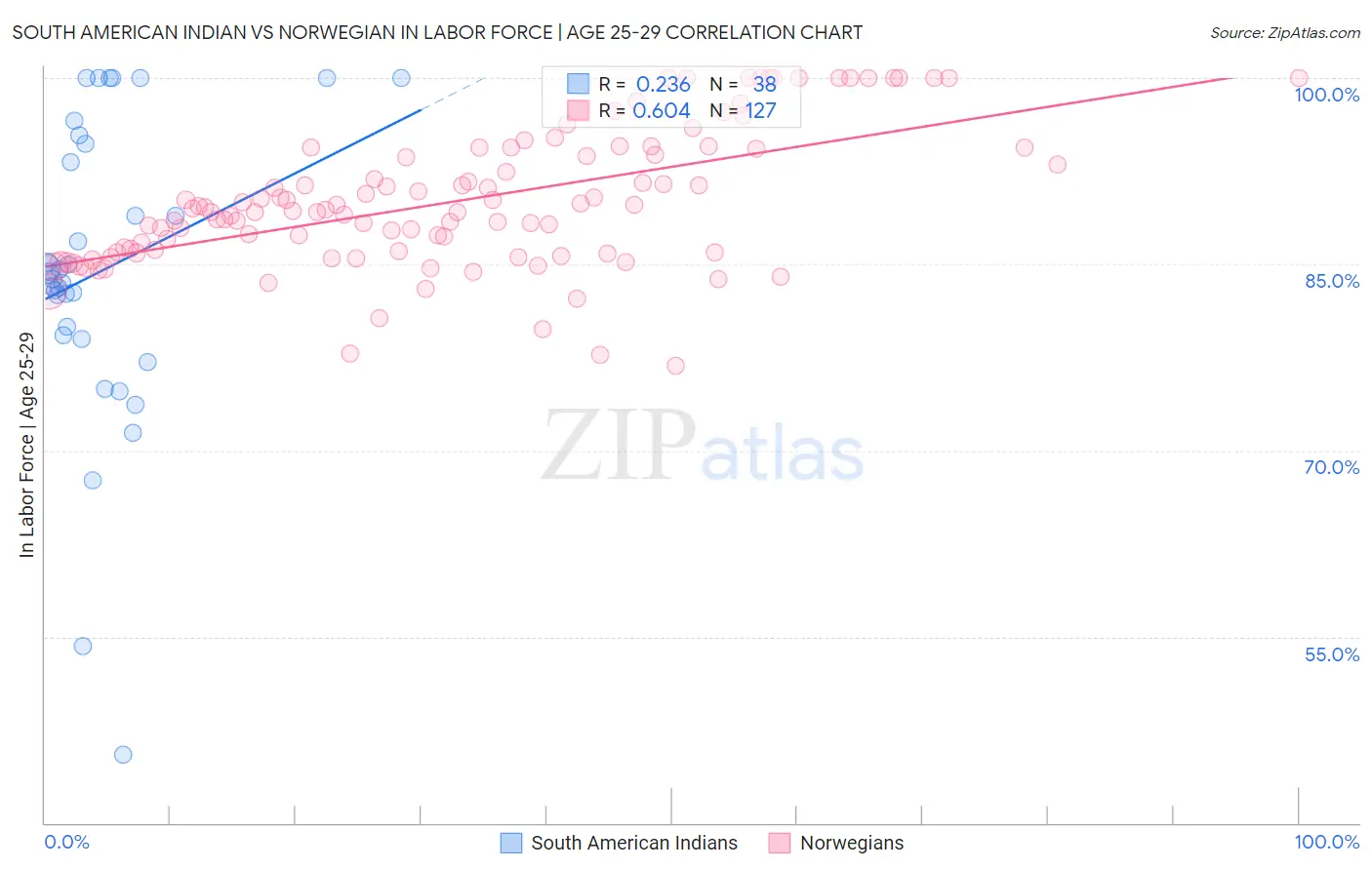 South American Indian vs Norwegian In Labor Force | Age 25-29