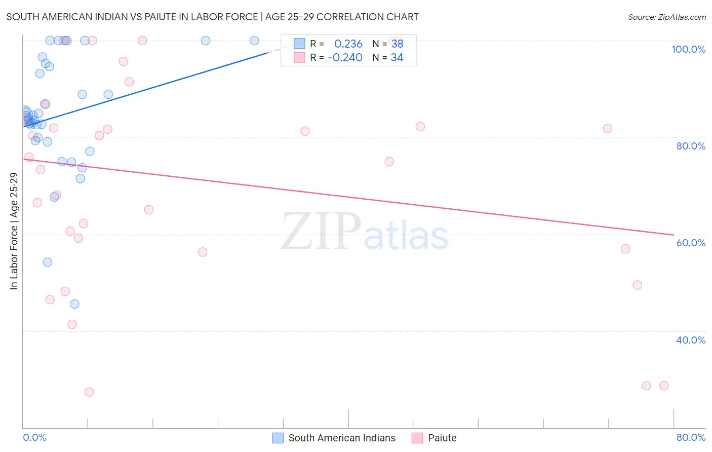 South American Indian vs Paiute In Labor Force | Age 25-29