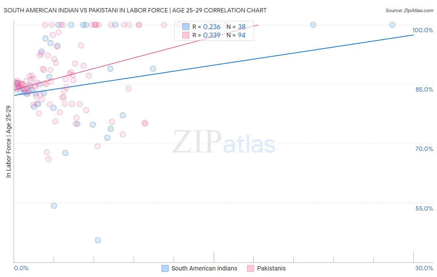 South American Indian vs Pakistani In Labor Force | Age 25-29