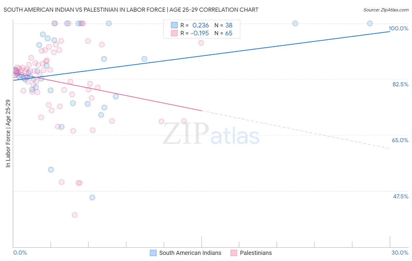 South American Indian vs Palestinian In Labor Force | Age 25-29