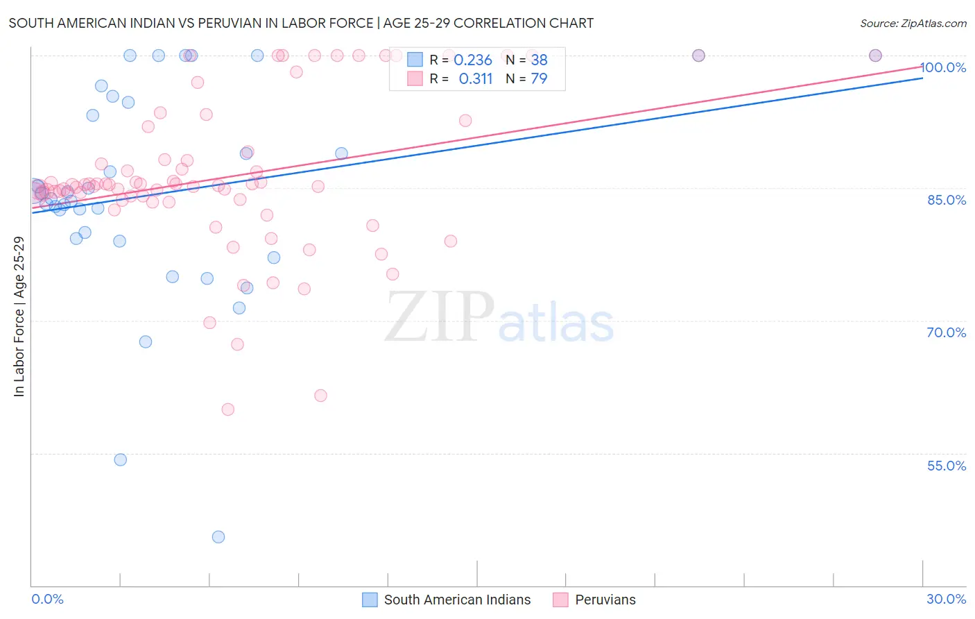 South American Indian vs Peruvian In Labor Force | Age 25-29