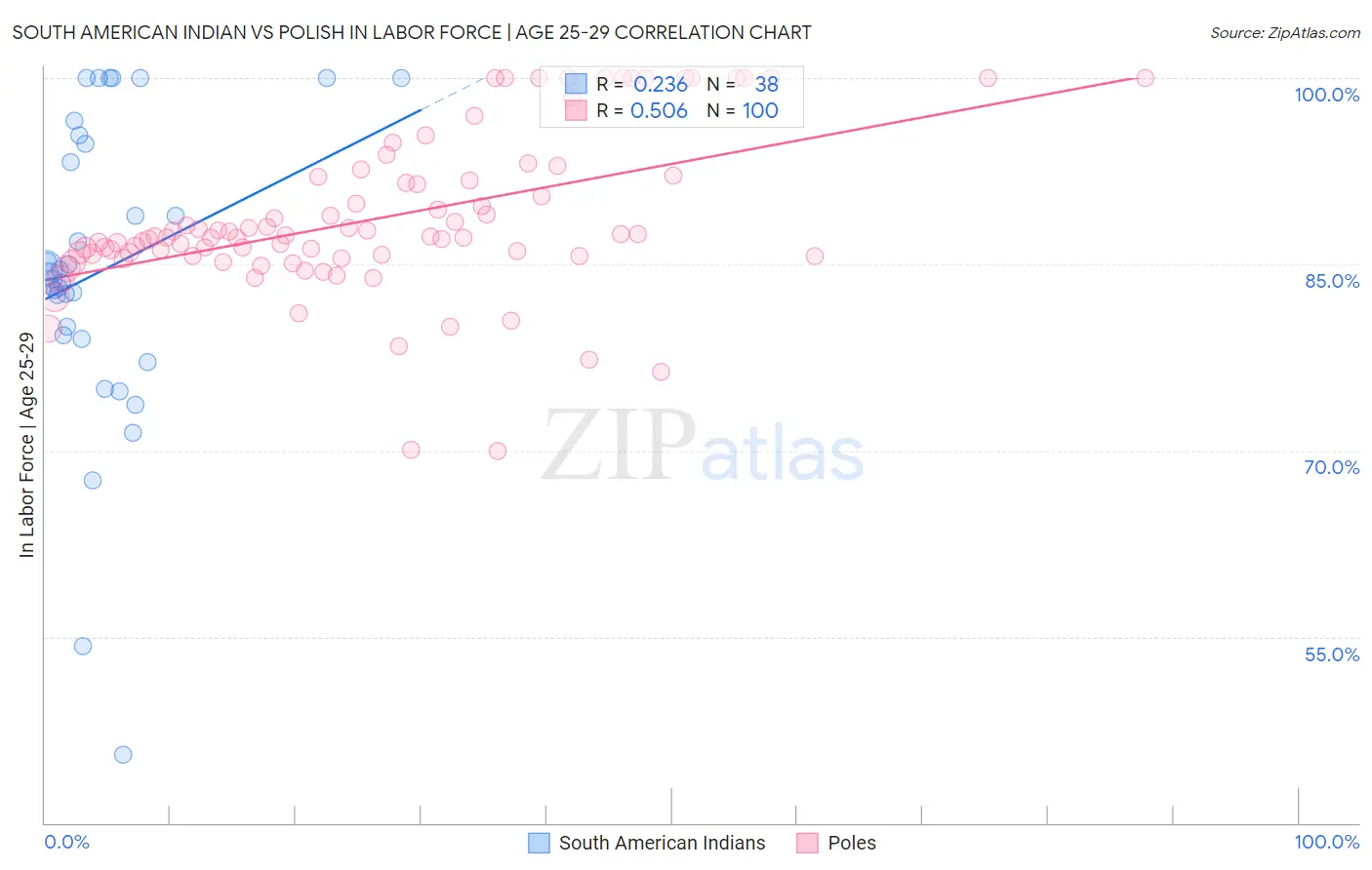 South American Indian vs Polish In Labor Force | Age 25-29