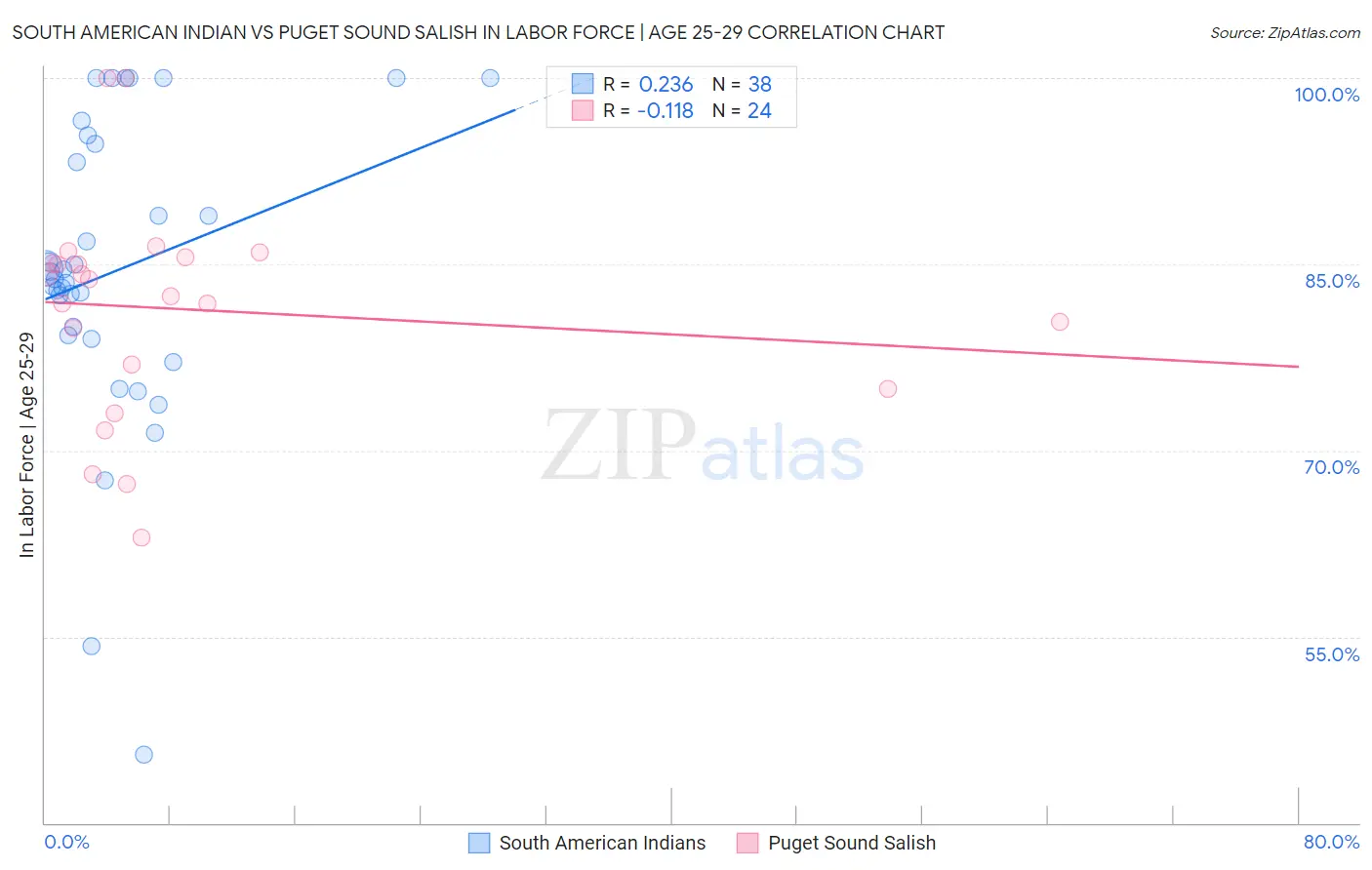 South American Indian vs Puget Sound Salish In Labor Force | Age 25-29