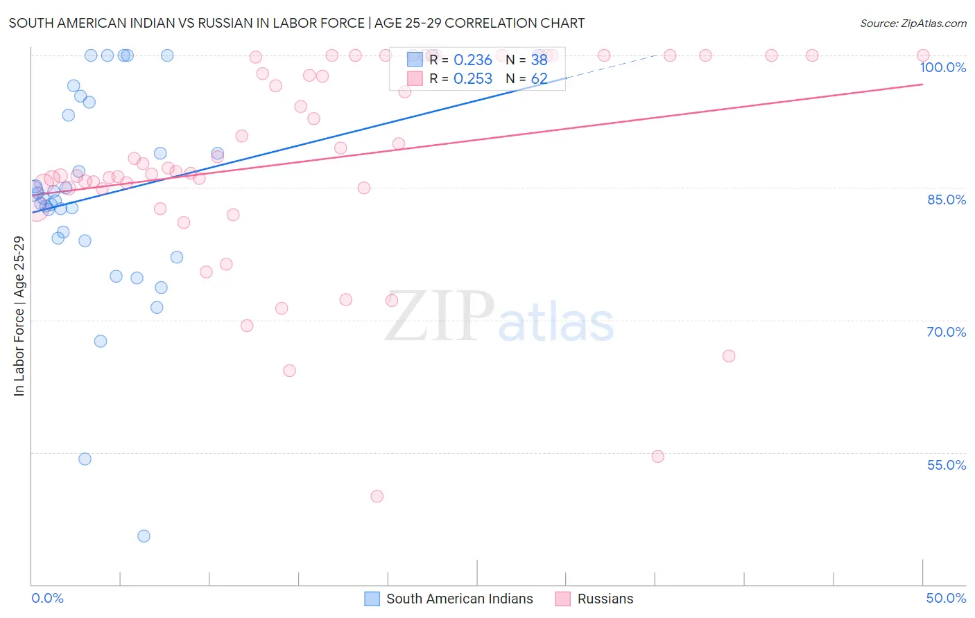 South American Indian vs Russian In Labor Force | Age 25-29