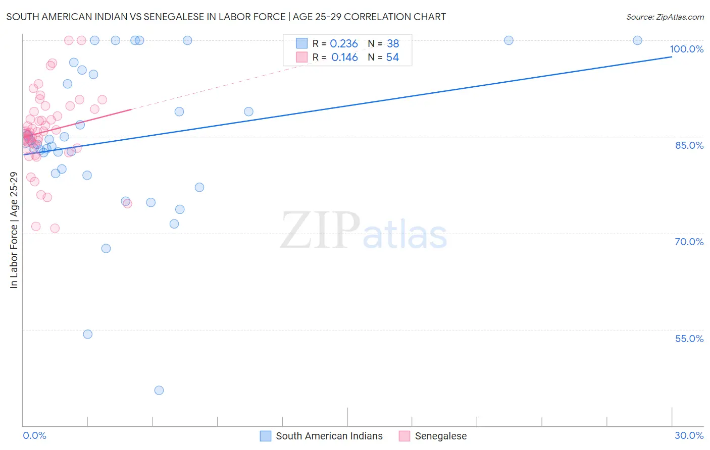 South American Indian vs Senegalese In Labor Force | Age 25-29