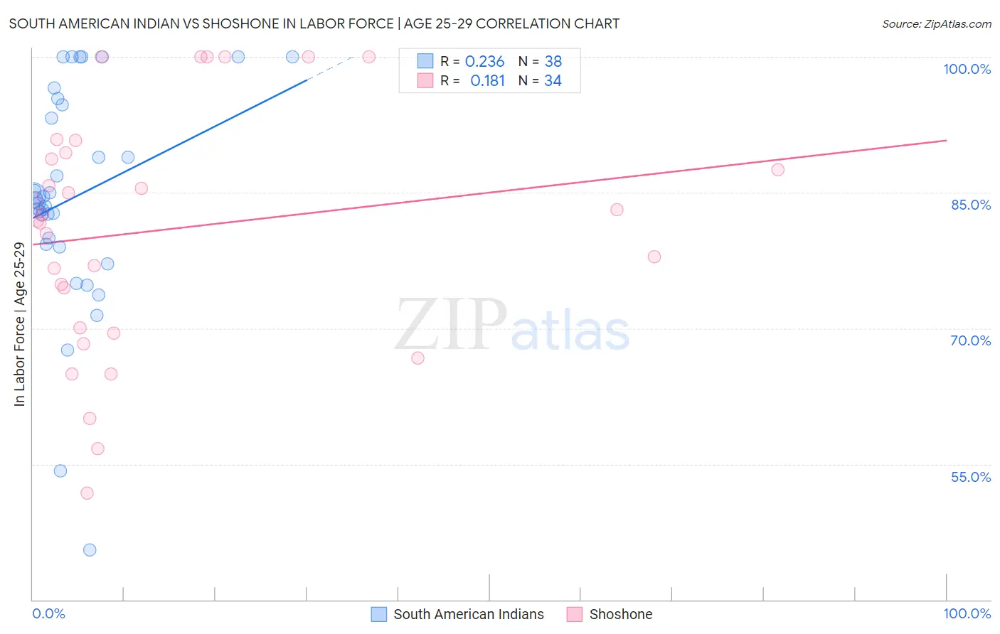 South American Indian vs Shoshone In Labor Force | Age 25-29