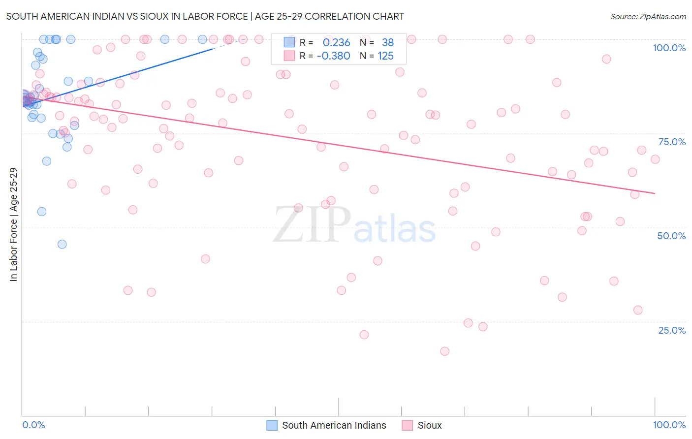 South American Indian vs Sioux In Labor Force | Age 25-29