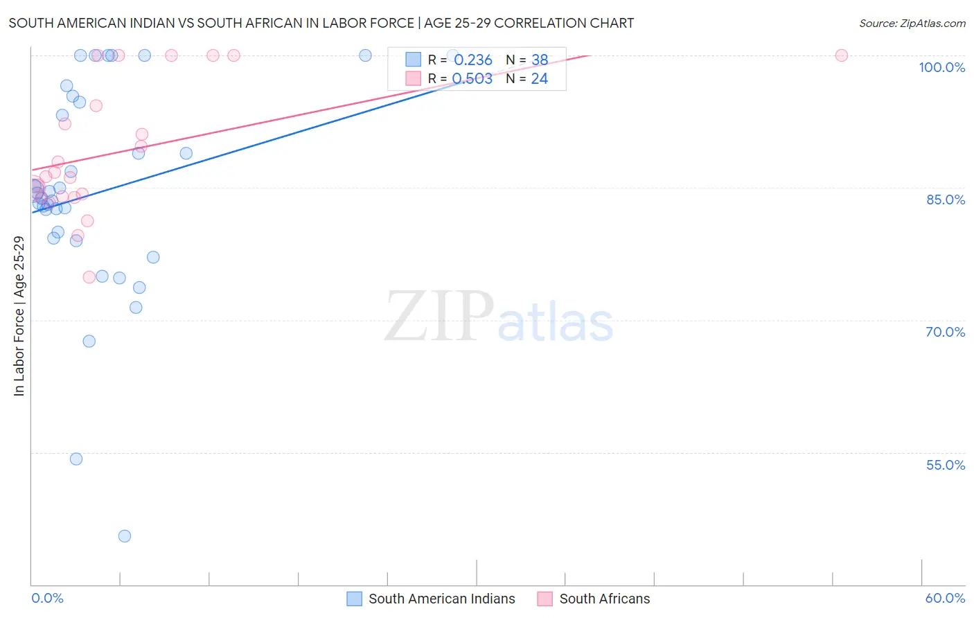 South American Indian vs South African In Labor Force | Age 25-29